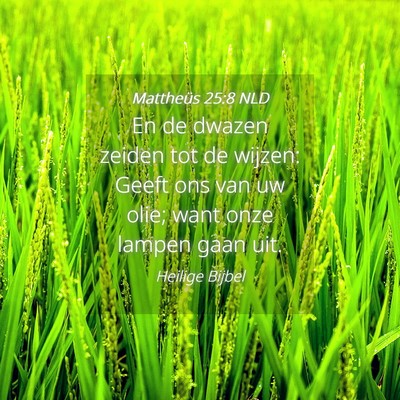 Picture 04 - Mattheüs 25:8 NLD - En de dwazen zeiden tot de wijzen: Geeft ons van - Bible Verse Picture