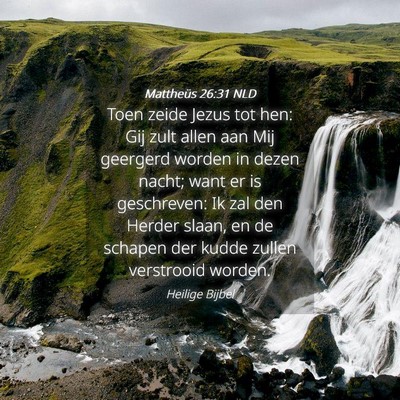 Picture 04 - Mattheüs 26:31 NLD - Toen zeide Jezus tot hen: Gij zult allen aan Mij - Bible Verse Picture