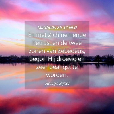 Picture 04 - Mattheüs 26:37 NLD - En met Zich nemende Petrus, en de twee zonen van - Bible Verse Picture