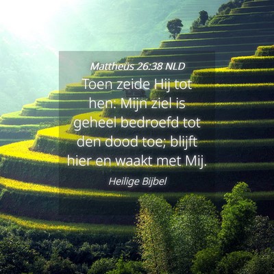 Picture 04 - Mattheüs 26:38 NLD - Toen zeide Hij tot hen: Mijn ziel is geheel - Bible Verse Picture