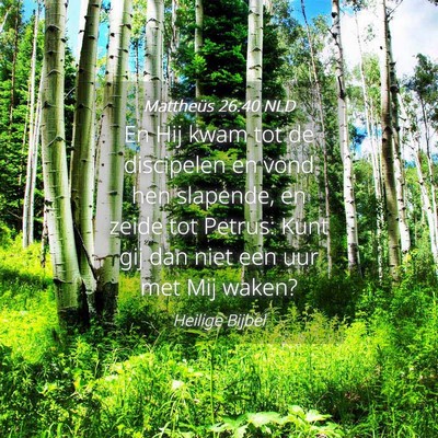 Picture 04 - Mattheüs 26:40 NLD - En Hij kwam tot de discipelen en vond hen - Bible Verse Picture