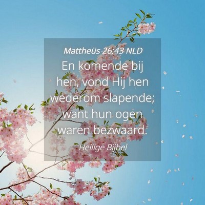 Picture 04 - Mattheüs 26:43 NLD - En komende bij hen, vond Hij hen wederom - Bible Verse Picture