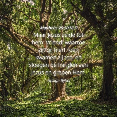 Picture 04 - Mattheüs 26:50 NLD - Maar Jezus zeide tot hem: Vriend! waartoe zijt - Bible Verse Picture