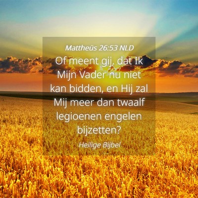 Picture 04 - Mattheüs 26:53 NLD - Of meent gij, dat Ik Mijn Vader nu niet kan - Bible Verse Picture