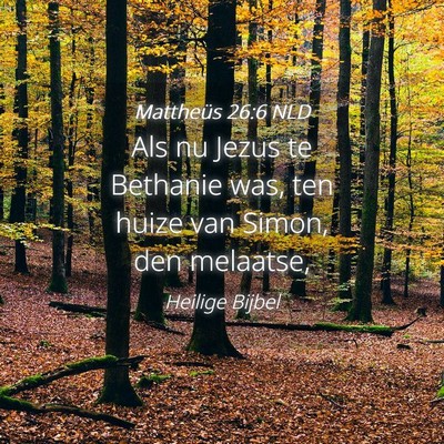 Picture 04 - Mattheüs 26:6 NLD - Als nu Jezus te Bethanie was, ten huize van - Bible Verse Picture