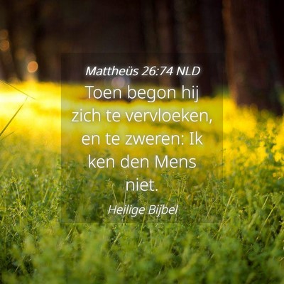 Picture 04 - Mattheüs 26:74 NLD - Toen begon hij zich te vervloeken, en te zweren: - Bible Verse Picture