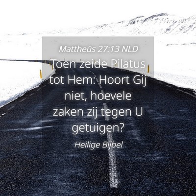 Picture 04 - Mattheüs 27:13 NLD - Toen zeide Pilatus tot Hem: Hoort Gij niet, - Bible Verse Picture