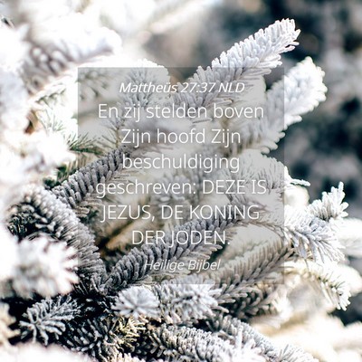 Picture 04 - Mattheüs 27:37 NLD - En zij stelden boven Zijn hoofd Zijn - Bible Verse Picture