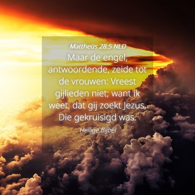 Picture 04 - Mattheüs 28:5 NLD - Maar de engel, antwoordende, zeide tot de - Bible Verse Picture