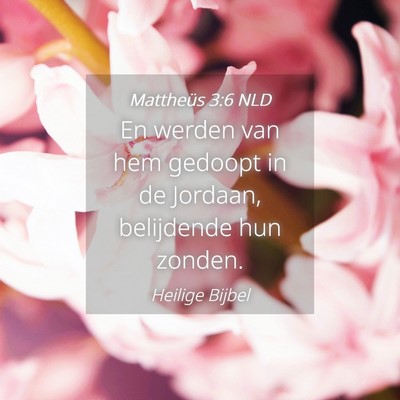 Picture 04 - Mattheüs 3:6 NLD - En werden van hem gedoopt in de Jordaan, - Bible Verse Picture