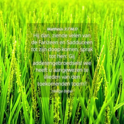 Picture 04 - Mattheüs 3:7 NLD - Hij dan, ziende velen van de Farizeen en - Bible Verse Picture