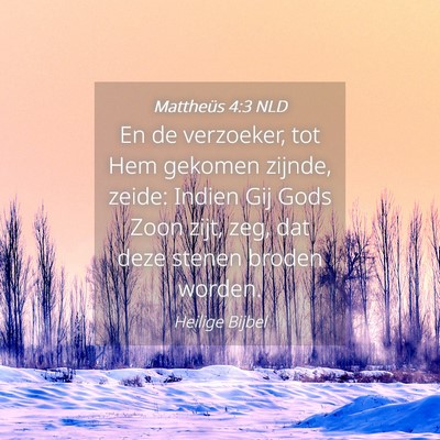 Picture 04 - Mattheüs 4:3 NLD - En de verzoeker, tot Hem gekomen zijnde, zeide: - Bible Verse Picture