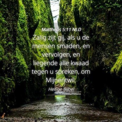 Picture 04 - Mattheüs 5:11 NLD - Zalig zijt gij, als u de mensen smaden, en - Bible Verse Picture