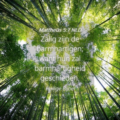 Picture 04 - Mattheüs 5:7 NLD - Zalig zijn de barmhartigen; want hun zal - Bible Verse Picture
