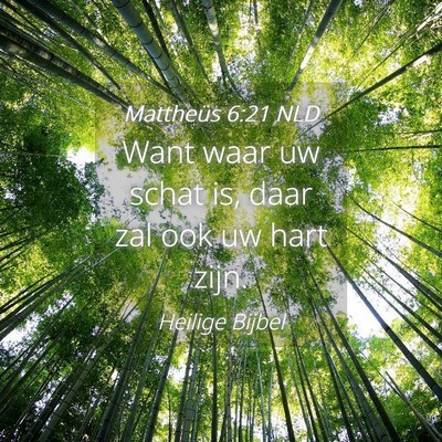 Picture 04 - Mattheüs 6:21 NLD - Want waar uw schat is, daar zal ook uw hart - Bible Verse Picture