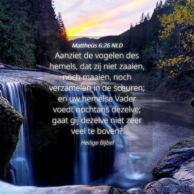 Picture 04 - Mattheüs 6:26 NLD - Aanziet de vogelen des hemels, dat zij niet - Bible Verse Picture
