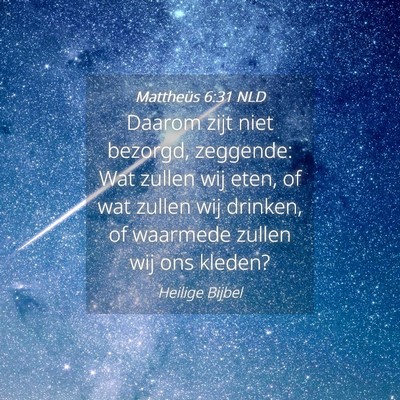 Picture 04 - Mattheüs 6:31 NLD - Daarom zijt niet bezorgd, zeggende: Wat zullen - Bible Verse Picture