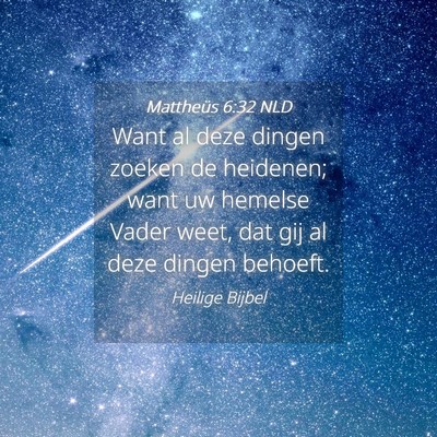 Picture 04 - Mattheüs 6:32 NLD - Want al deze dingen zoeken de heidenen; want uw - Bible Verse Picture
