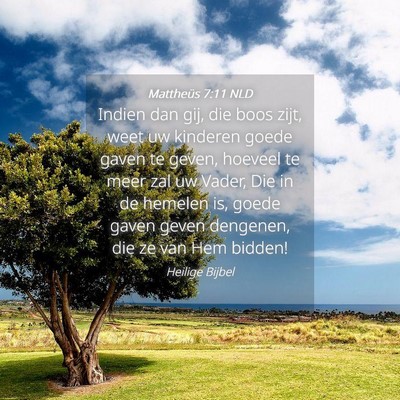 Picture 04 - Mattheüs 7:11 NLD - Indien dan gij, die boos zijt, weet uw kinderen - Bible Verse Picture