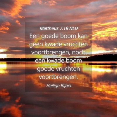 Picture 04 - Mattheüs 7:18 NLD - Een goede boom kan geen kwade vruchten - Bible Verse Picture
