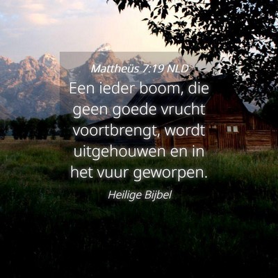 Picture 04 - Mattheüs 7:19 NLD - Een ieder boom, die geen goede vrucht - Bible Verse Picture