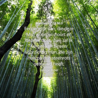 Picture 04 - Mattheüs 7:24 NLD - Een iegelijk dan, die deze Mijn woorden hoort en - Bible Verse Picture