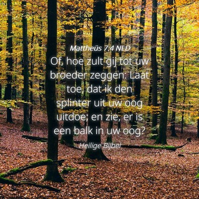Picture 04 - Mattheüs 7:4 NLD - Of, hoe zult gij tot uw broeder zeggen: Laat toe, - Bible Verse Picture