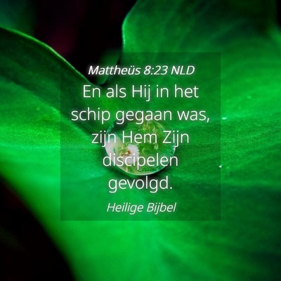 Picture 04 - Mattheüs 8:23 NLD - En als Hij in het schip gegaan was, zijn Hem Zijn - Bible Verse Picture