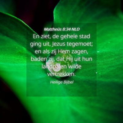 Picture 04 - Mattheüs 8:34 NLD - En ziet, de gehele stad ging uit, Jezus tegemoet; - Bible Verse Picture