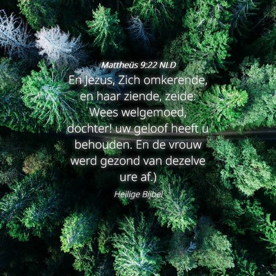 Picture 04 - Mattheüs 9:22 NLD - En Jezus, Zich omkerende, en haar ziende, zeide: - Bible Verse Picture