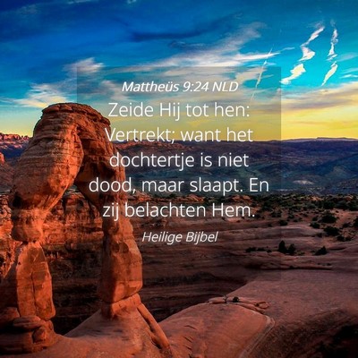 Picture 04 - Mattheüs 9:24 NLD - Zeide Hij tot hen: Vertrekt; want het dochtertje - Bible Verse Picture