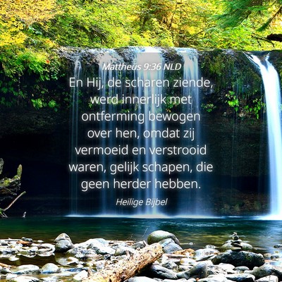 Picture 04 - Mattheüs 9:36 NLD - En Hij, de scharen ziende, werd innerlijk met - Bible Verse Picture