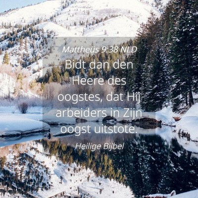 Picture 04 - Mattheüs 9:38 NLD - Bidt dan den Heere des oogstes, dat Hij arbeiders - Bible Verse Picture