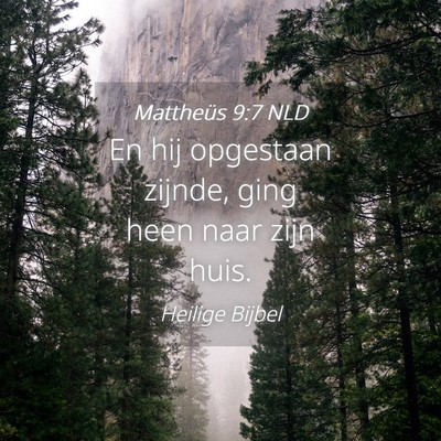 Picture 04 - Mattheüs 9:7 NLD - En hij opgestaan zijnde, ging heen naar zijn - Bible Verse Picture
