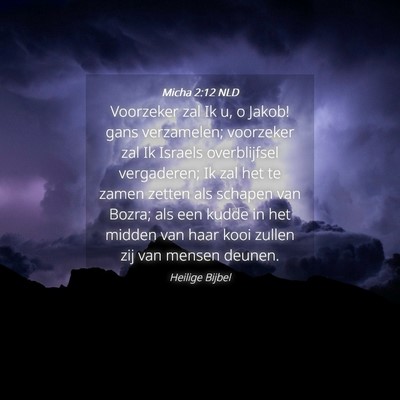 Picture 04 - Micha 2:12 NLD - Voorzeker zal Ik u, o Jakob! gans verzamelen; - Bible Verse Picture
