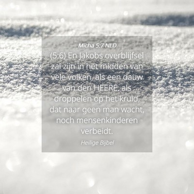 Picture 04 - Micha 5:7 NLD - (5:6) En Jakobs overblijfsel zal zijn in het - Bible Verse Picture