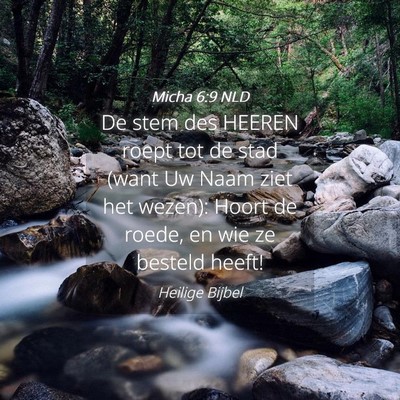 Picture 04 - Micha 6:9 NLD - De stem des HEEREN roept tot de stad (want Uw - Bible Verse Picture