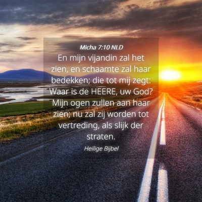Picture 04 - Micha 7:10 NLD - En mijn vijandin zal het zien, en schaamte zal - Bible Verse Picture
