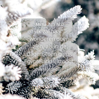 Picture 04 - Micha 7:15 NLD - Ik zal haar wonderen doen zien, als in de dagen, - Bible Verse Picture