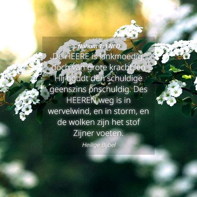 Picture 04 - Nahum 1:3 NLD - De HEERE is lankmoedig, doch van grote kracht, en - Bible Verse Picture