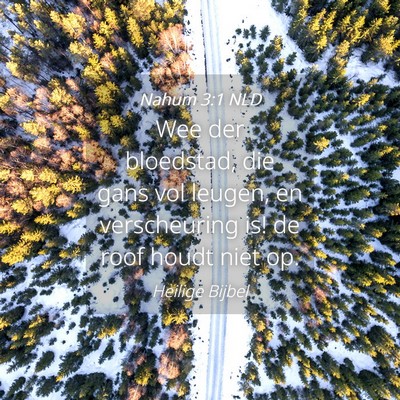 Picture 04 - Nahum 3:1 NLD - Wee der bloedstad, die gans vol leugen, en - Bible Verse Picture