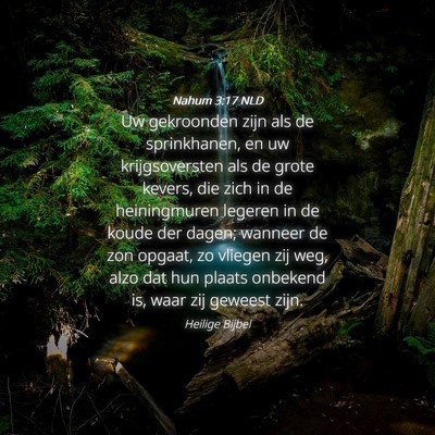Picture 04 - Nahum 3:17 NLD - Uw gekroonden zijn als de sprinkhanen, en uw - Bible Verse Picture