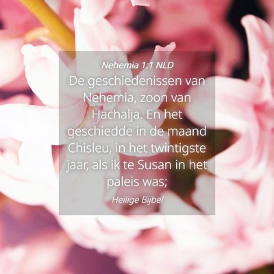 Picture 04 - Nehemia 1:1 NLD - De geschiedenissen van Nehemia, zoon van - Bible Verse Picture