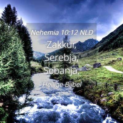 Picture 04 - Nehemia 10:12 NLD - Zakkur, Serebja, - Bible Verse Picture