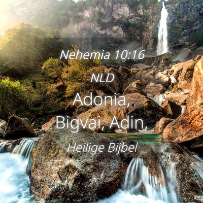 Picture 04 - Nehemia 10:16 NLD - Adonia, Bigvai, - Bible Verse Picture