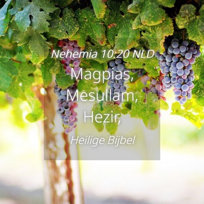 Picture 04 - Nehemia 10:20 NLD - Magpias, Mesullam, - Bible Verse Picture