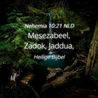 Picture 04 - Nehemia 10:21 NLD - Mesezabeel, Zadok, - Bible Verse Picture