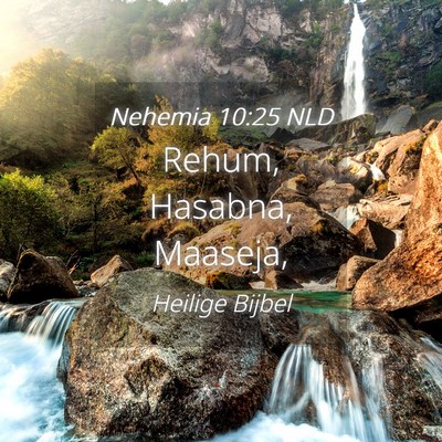 Picture 04 - Nehemia 10:25 NLD - Rehum, Hasabna, - Bible Verse Picture