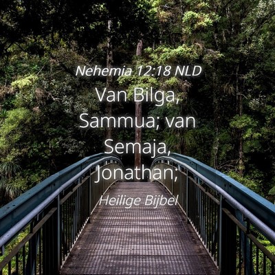 Picture 04 - Nehemia 12:18 NLD - Van Bilga, Sammua; van Semaja, - Bible Verse Picture