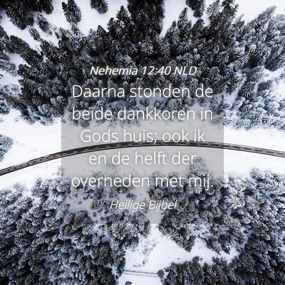 Picture 04 - Nehemia 12:40 NLD - Daarna stonden de beide dankkoren in Gods huis; - Bible Verse Picture
